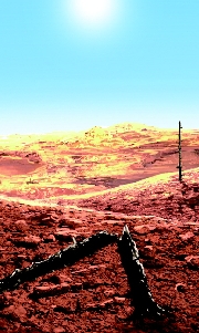 荒れ野.jpg