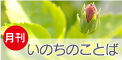 月刊「いのちのことば」