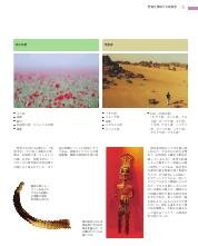 カラー新聖書ガイドブック［改訂新版］