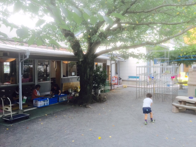 ミニ2016　7月15日かえで幼稚園