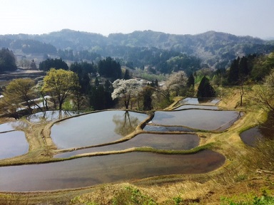 おまけレポート　上越から魚沼へ