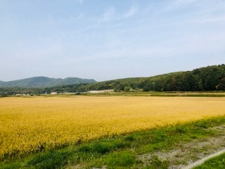 2019年10月3日　北海道らしい平原！