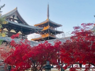 2019年11月21日　紅葉