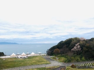 2020年3月30日　山桜