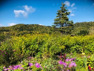 2020年１０月６日　爽やかな北海道！