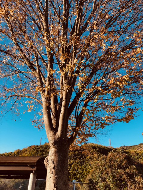2021年12月4日　静岡へ