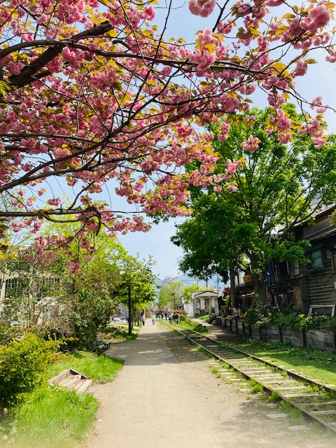 2022年5月12日　小樽市③