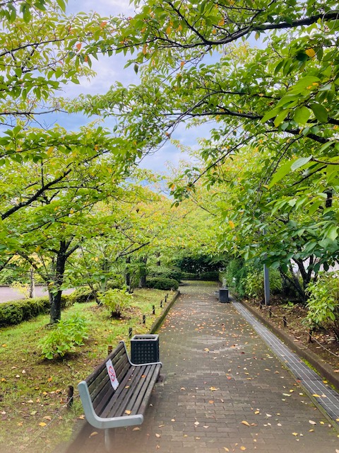 2022年9月8日　公園