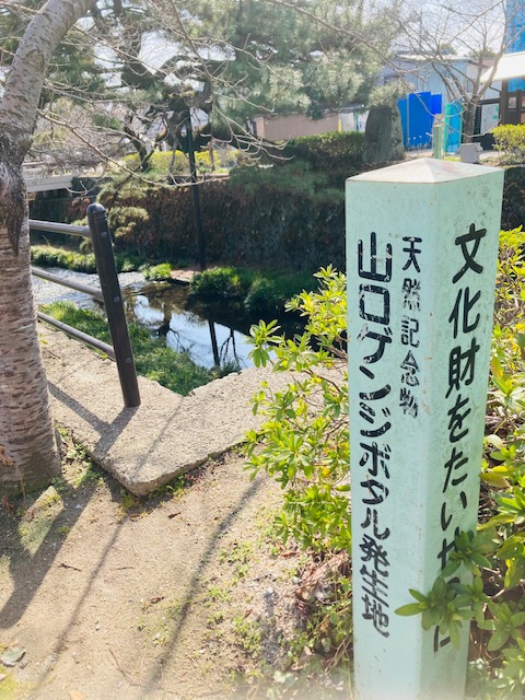 2023年3月3日（金）「山口ゲンジボタル」発祥の碑