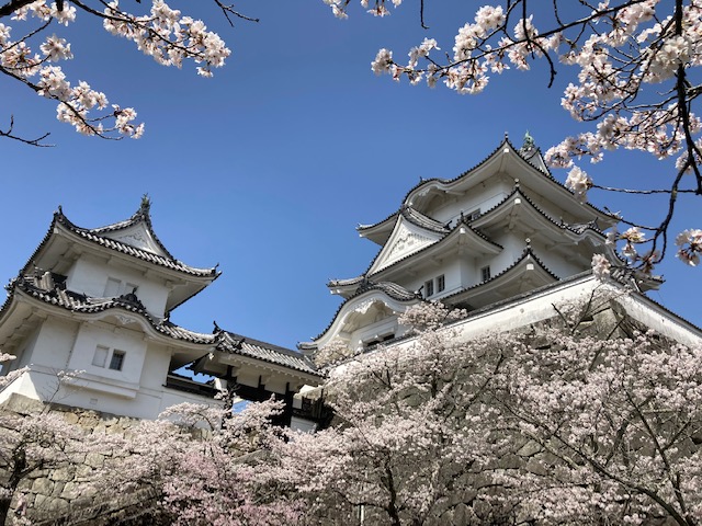 2023年3月28日（火）伊賀上野城