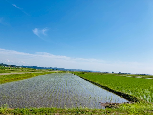 2023年6月5日（月）素晴らしい景色