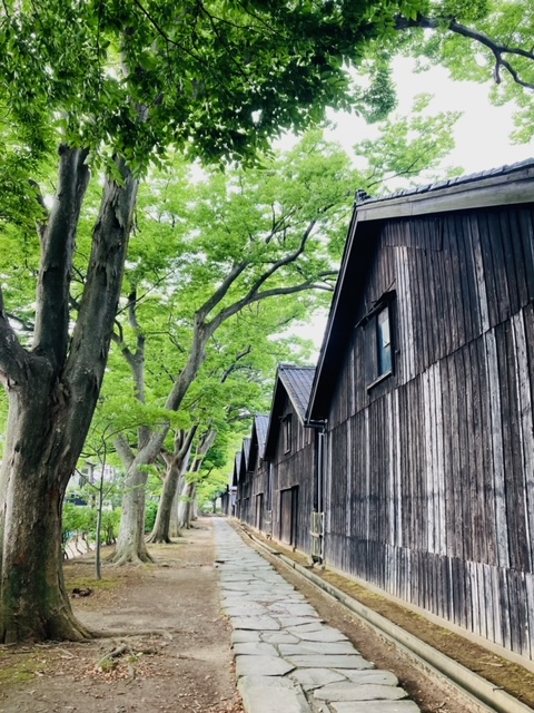 2023年7月17日（月）お米の名産地②