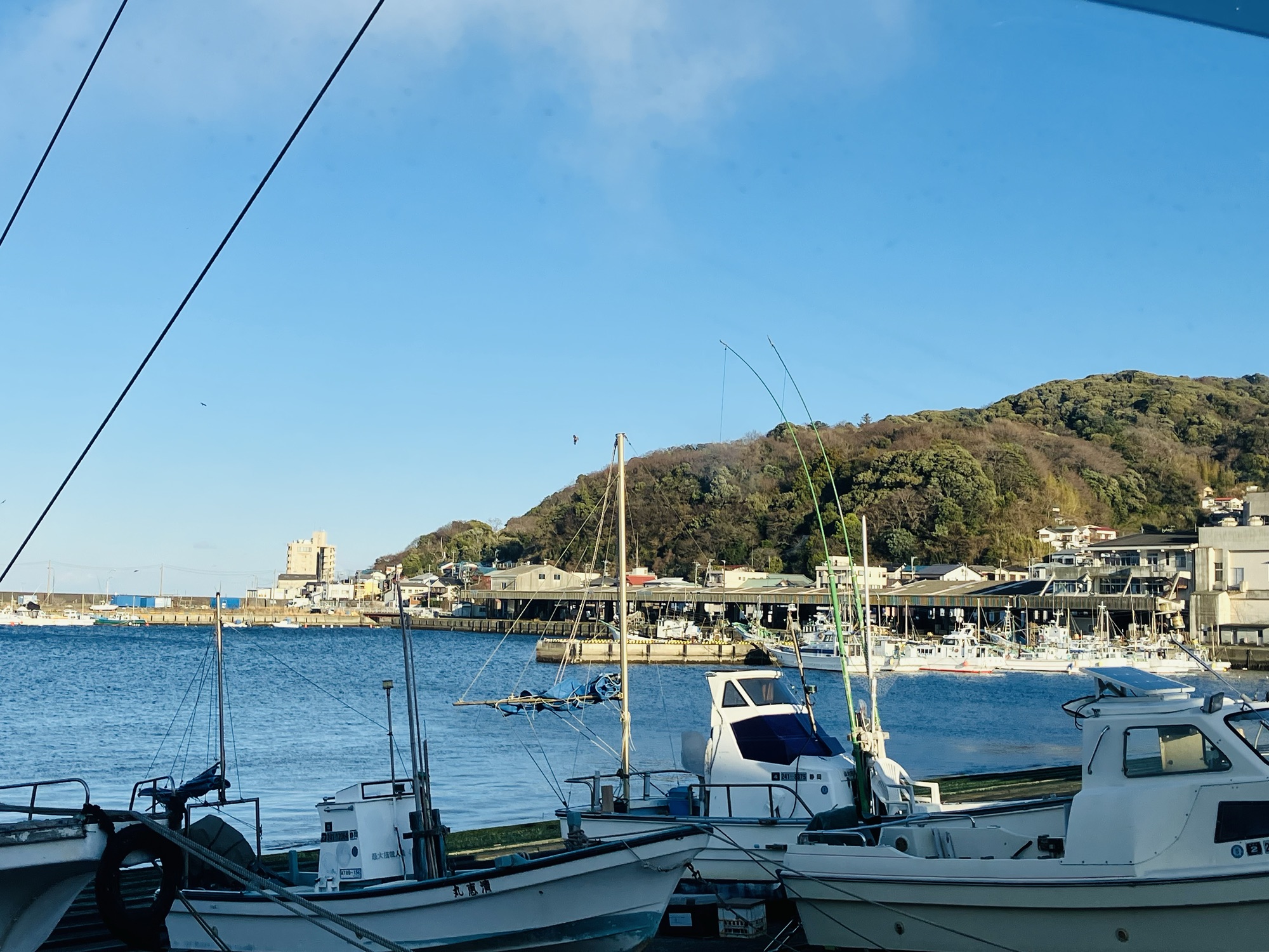 2025年2月5日(水)③オマケ 伊東市の漁港