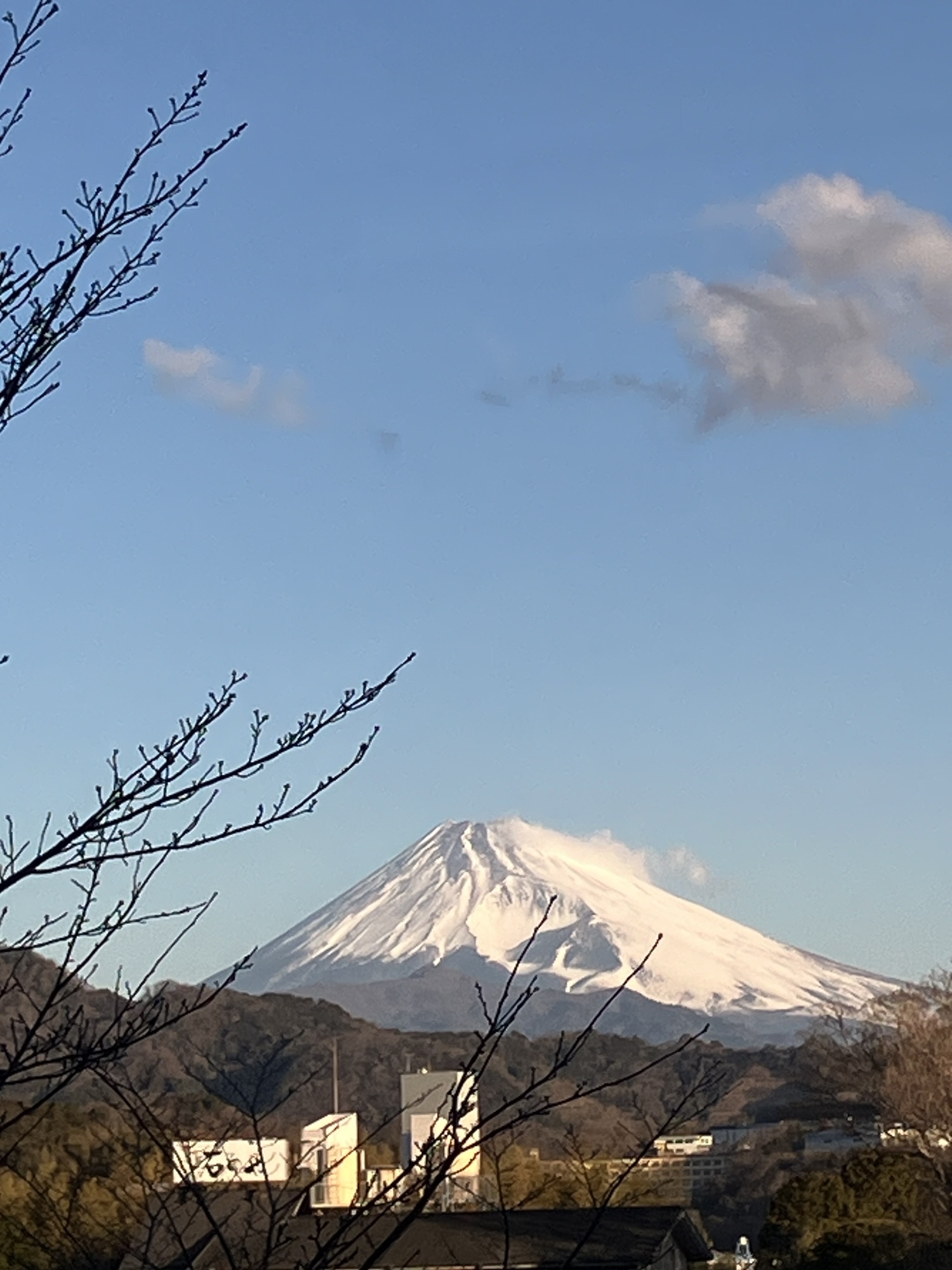 2025年2月6日(木)⑦オマケ 富士山
