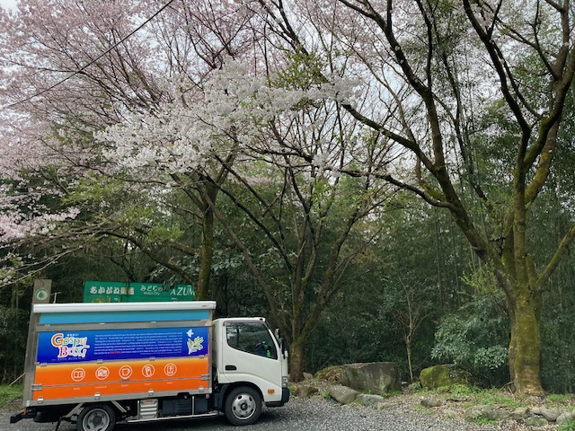 2025年4月11日（金）おまけレポート「ゴスペルボックスと桜」