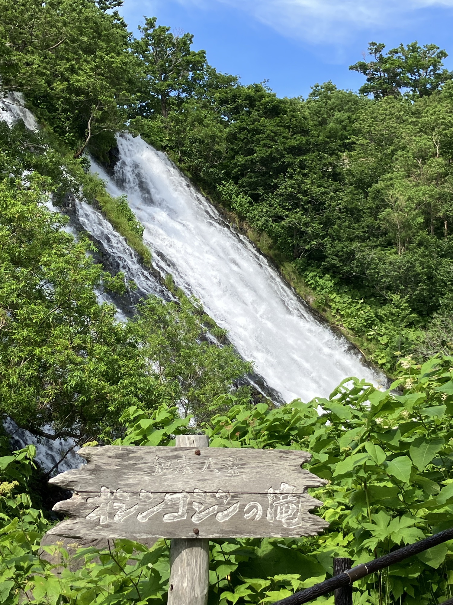 2025年6月23日（月）オシンコシンの滝