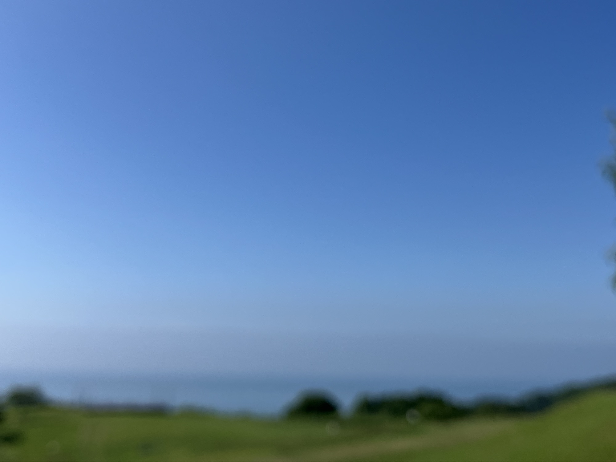 2025年7月7日（月）自然豊かな北海道