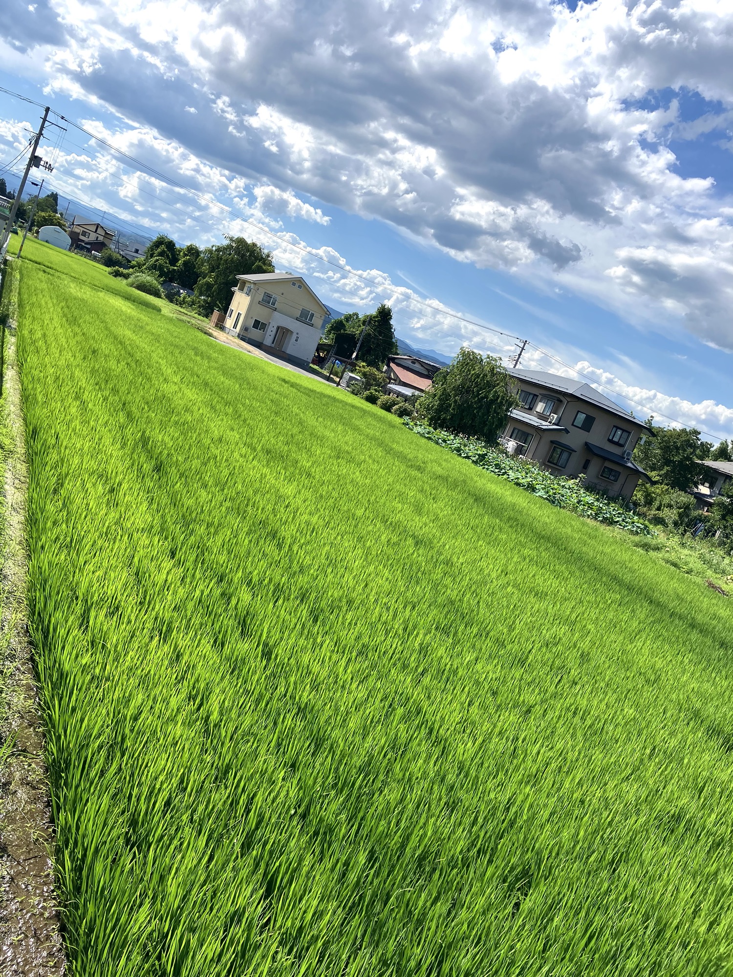 2025年7月22日(火)③稲穂・大江町キリスト教会