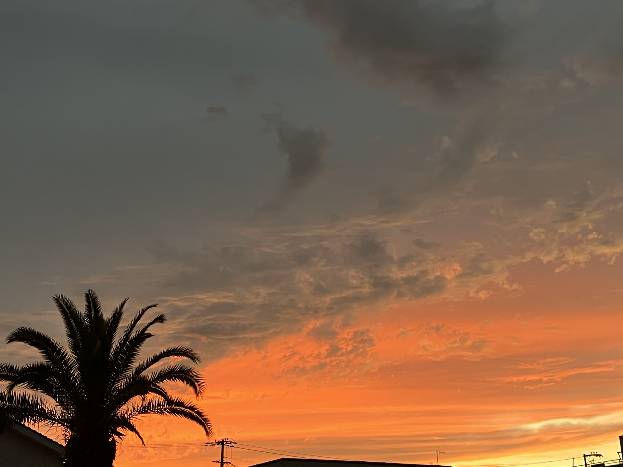 2025年10月23日(木)④スタッフ交代