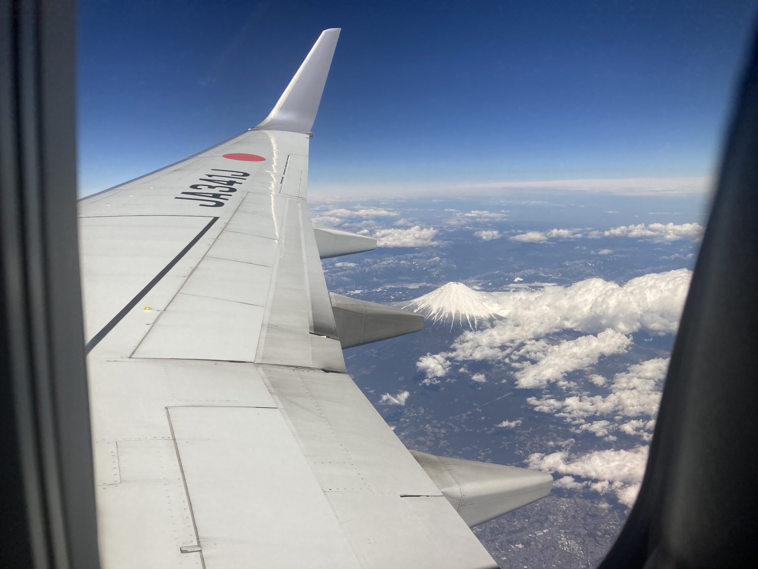 2026年3月4日（水）奄美大島①