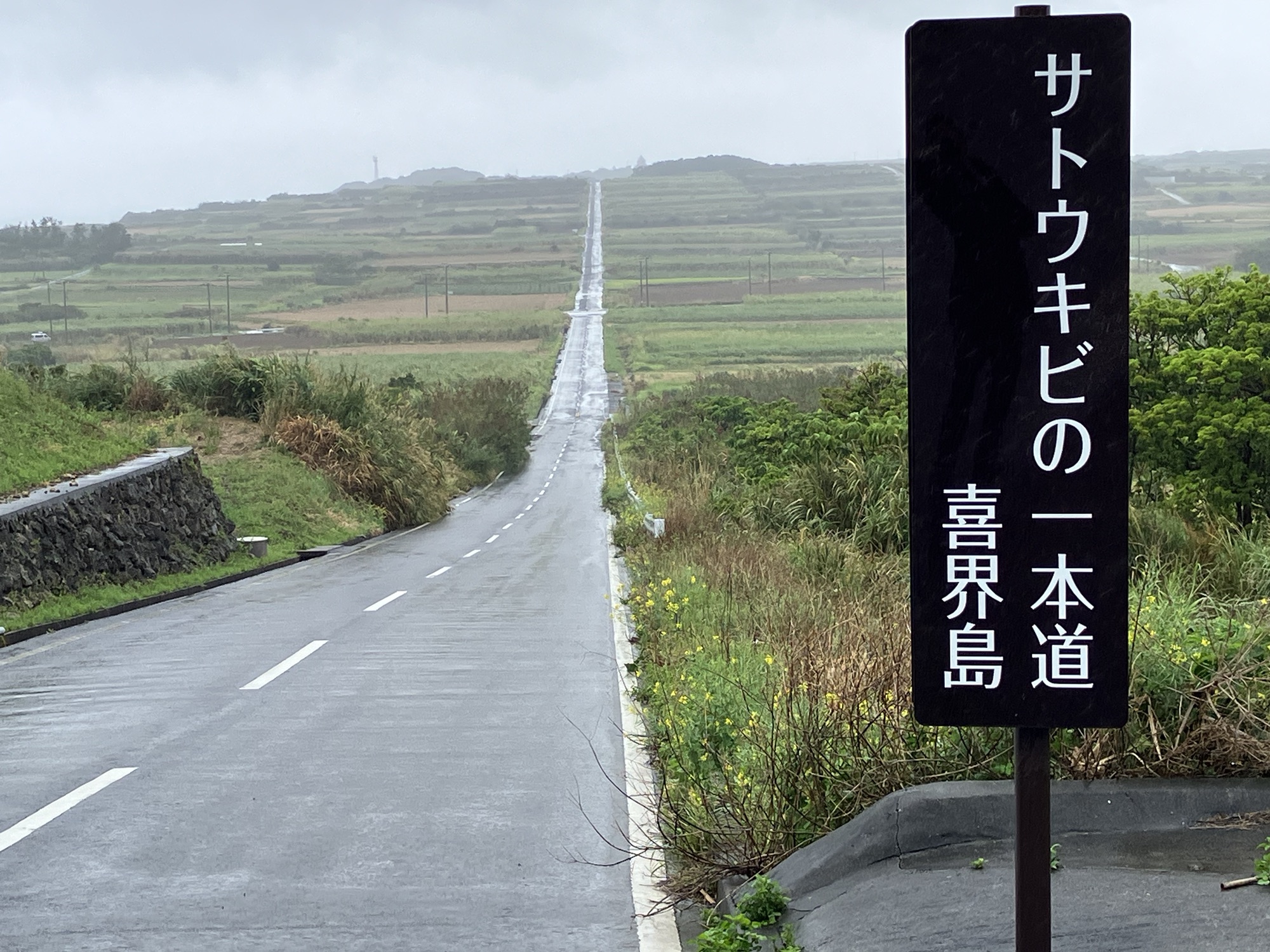 2026年3月2日(月)島巡り②