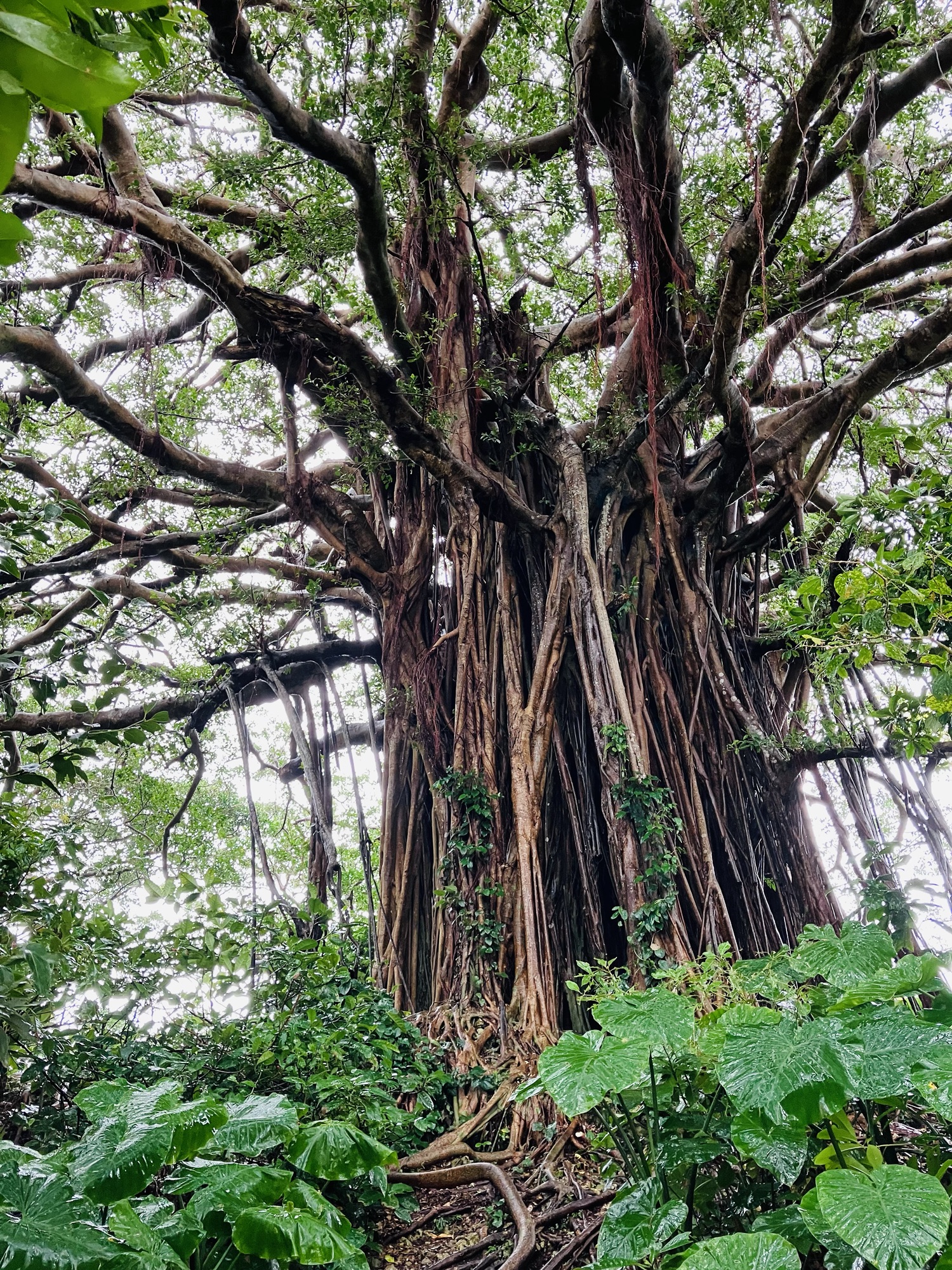 2026年3月2日(月)島巡り①