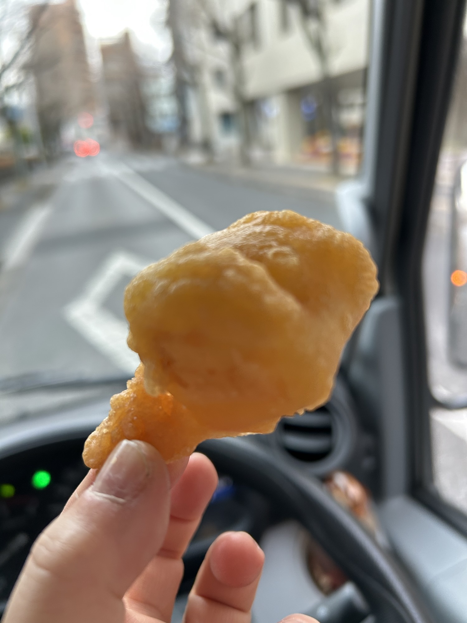 2026年2月22日（日）高知名物